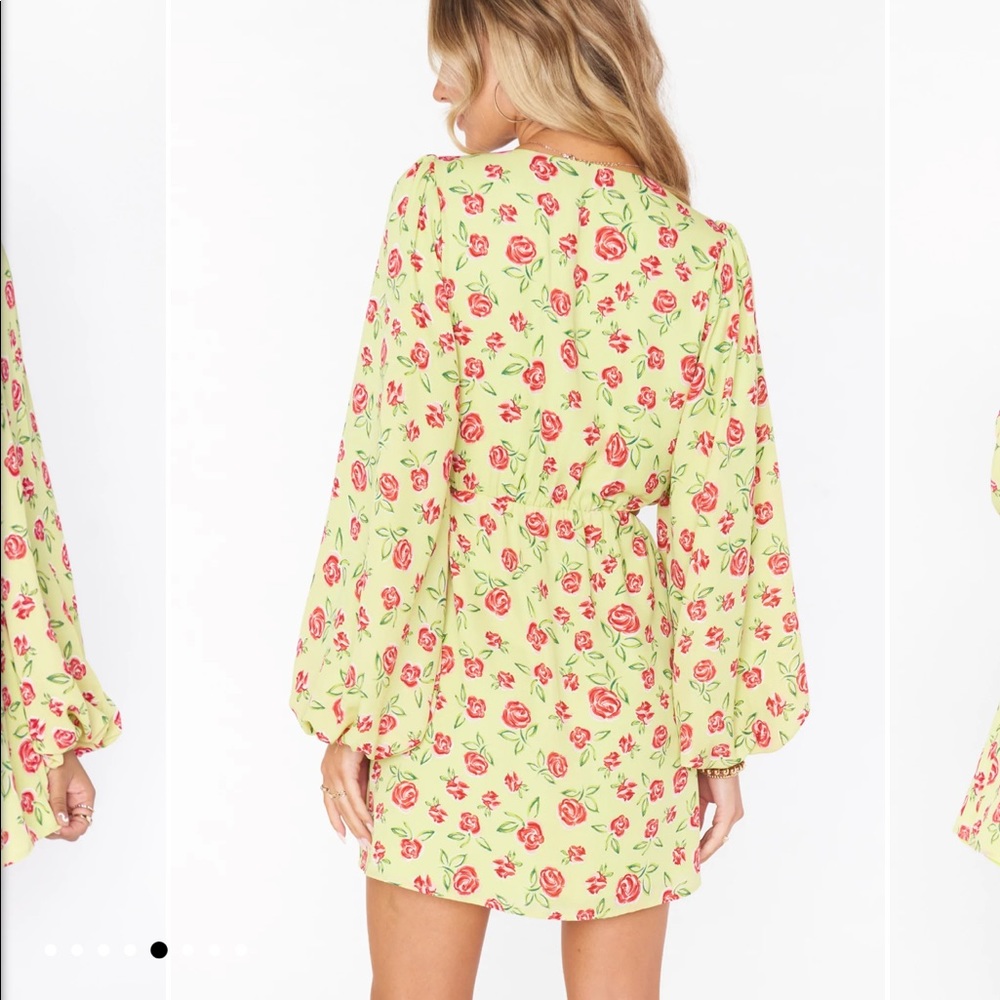 Show Me Your Mumu Christina Mini Dress